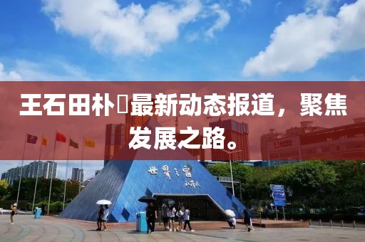 王石田朴琤最新动态报道，聚焦发展之路。