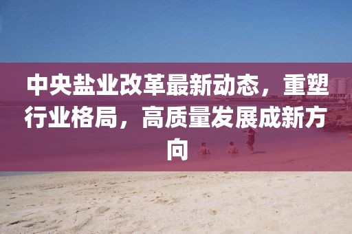 中央盐业改革最新动态，重塑行业格局，高质量发展成新方向