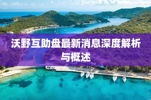 沃野互助盘最新消息深度解析与概述