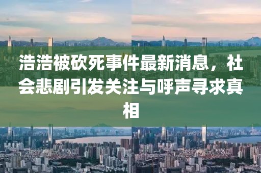 浩浩被砍死事件最新消息，社会悲剧引发关注与呼声寻求真相