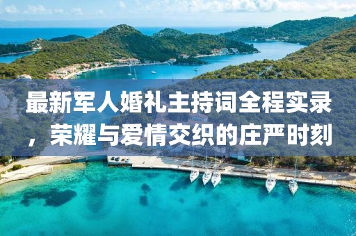 最新军人婚礼主持词全程实录，荣耀与爱情交织的庄严时刻