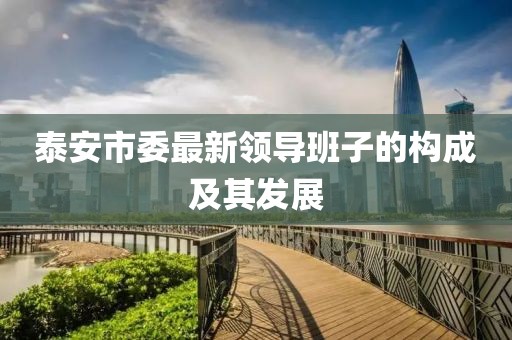 泰安市委最新领导班子的构成及其发展