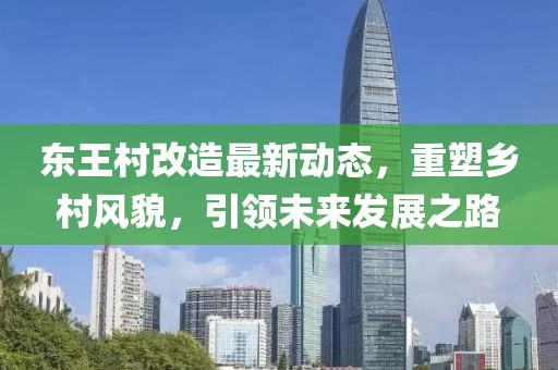东王村改造最新动态，重塑乡村风貌，引领未来发展之路