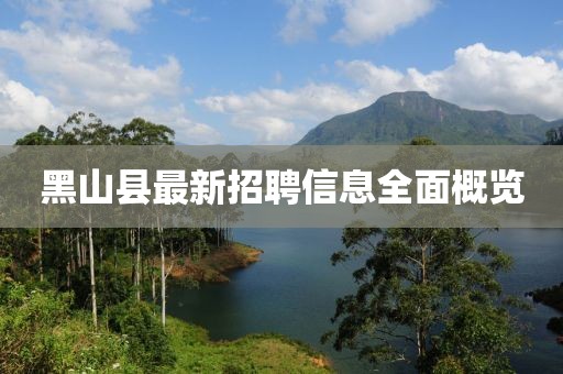 黑山县最新招聘信息全面概览