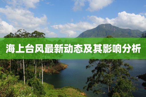 海上台风最新动态及其影响分析