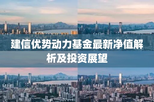 建信优势动力基金最新净值解析及投资展望