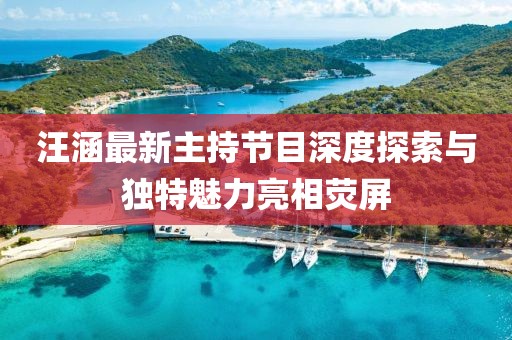 汪涵最新主持节目深度探索与独特魅力亮相荧屏
