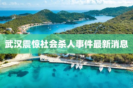 武汉震惊社会杀人事件最新消息