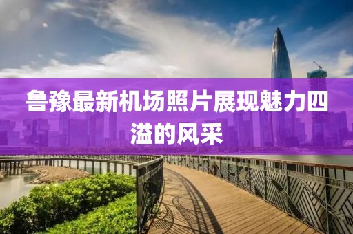 鲁豫最新机场照片展现魅力四溢的风采