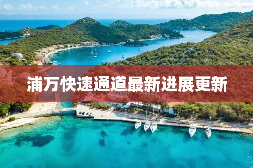 浦万快速通道最新进展更新