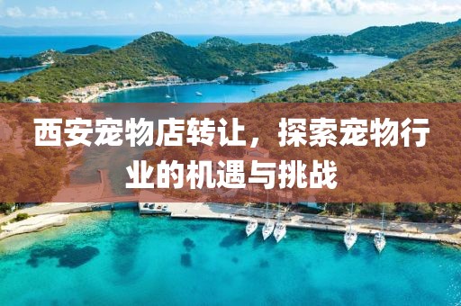 西安宠物店转让，探索宠物行业的机遇与挑战