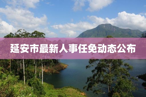 延安市最新人事任免动态公布