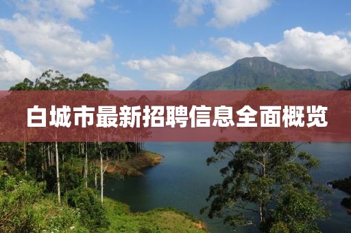 战无情 第6页