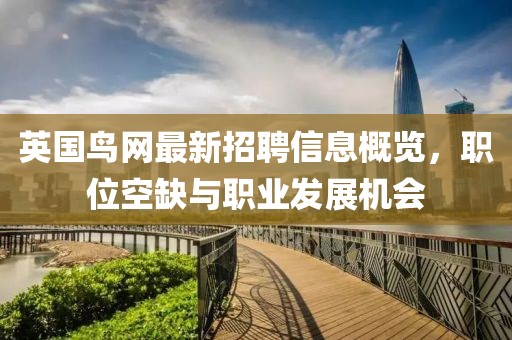 英国鸟网最新招聘信息概览，职位空缺与职业发展机会