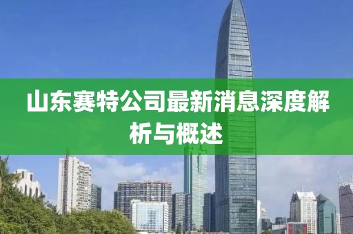山东赛特公司最新消息深度解析与概述