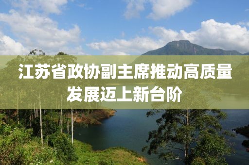 江苏省政协副主席推动高质量发展迈上新台阶
