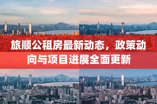 旅顺公租房最新动态，政策动向与项目进展全面更新