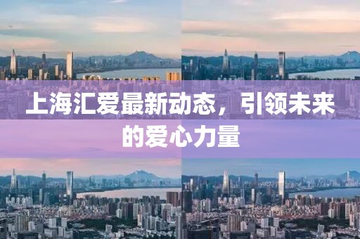 上海汇爱最新动态，引领未来的爱心力量