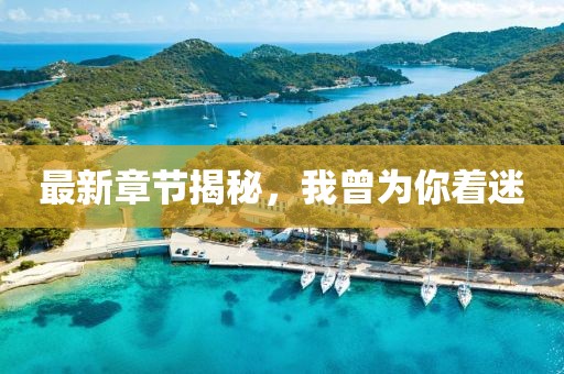 最新章节揭秘，我曾为你着迷