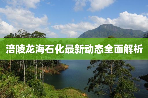 涪陵龙海石化最新动态全面解析