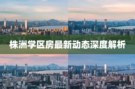 株洲学区房最新动态深度解析