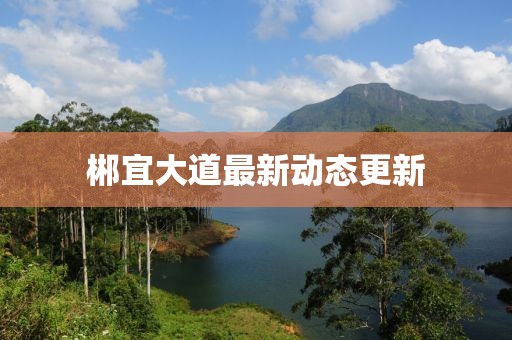 郴宜大道最新动态更新