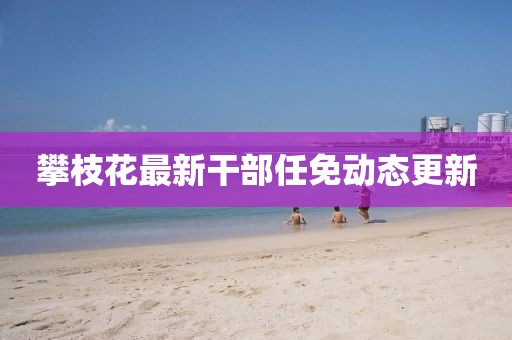 攀枝花最新干部任免动态更新