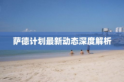 萨德计划最新动态深度解析
