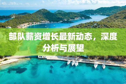 部队薪资增长最新动态，深度分析与展望