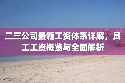 二三公司最新工资体系详解，员工工资概览与全面解析