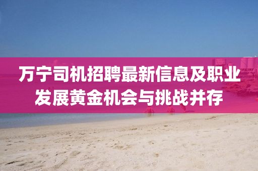 万宁司机招聘最新信息及职业发展黄金机会与挑战并存