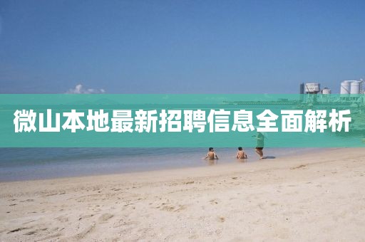 微山本地最新招聘信息全面解析