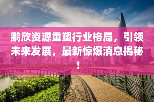 鹏欣资源重塑行业格局，引领未来发展，最新惊爆消息揭秘！