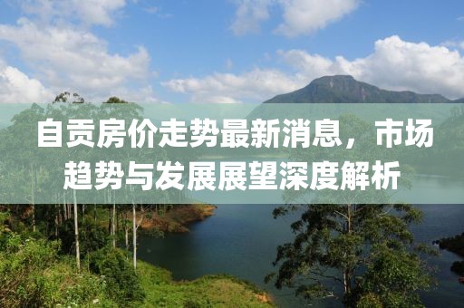 自贡房价走势最新消息，市场趋势与发展展望深度解析