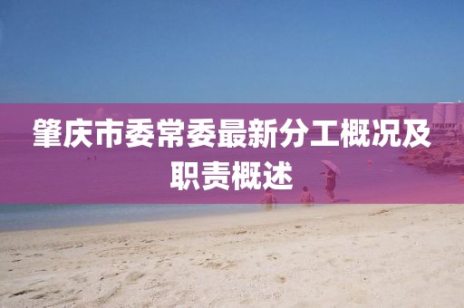 肇庆市委常委最新分工概况及职责概述