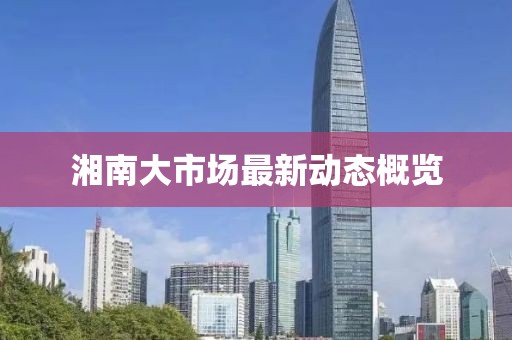 湘南大市场最新动态概览