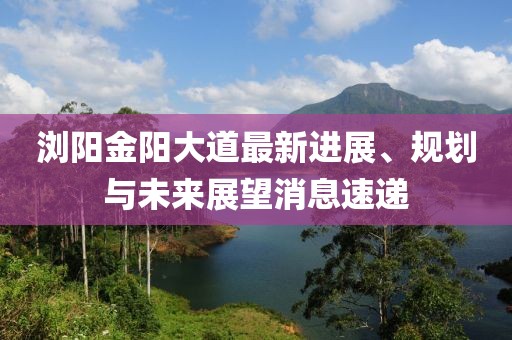 浏阳金阳大道最新进展、规划与未来展望消息速递
