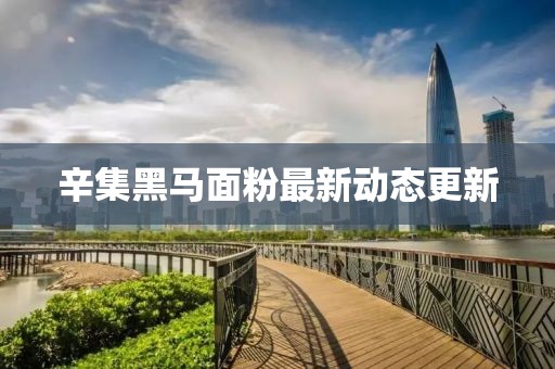 辛集黑马面粉最新动态更新