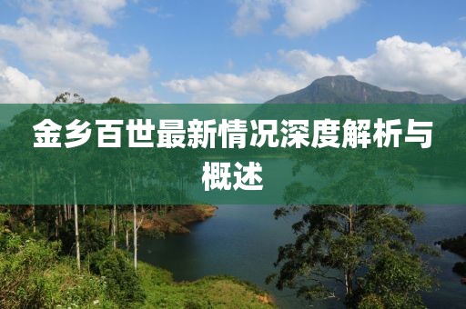 金乡百世最新情况深度解析与概述