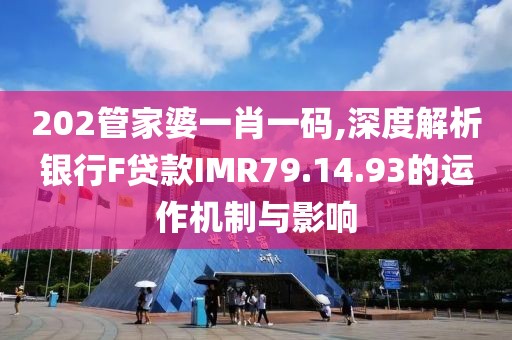 202管家婆一肖一码,深度解析银行F贷款IMR79.14.93的运作机制与影响