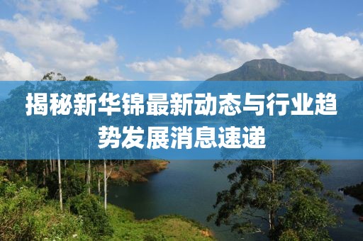 揭秘新华锦最新动态与行业趋势发展消息速递