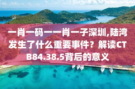 一肖一码一一肖一子深圳,陆湾发生了什么重要事件？解读CTB84.38.5背后的意义