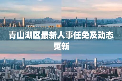 青山湖区最新人事任免及动态更新
