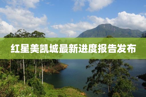 红星美凯城最新进度报告发布
