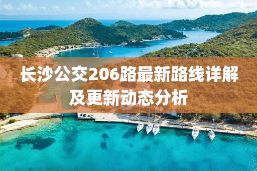 长沙公交206路最新路线详解及更新动态分析