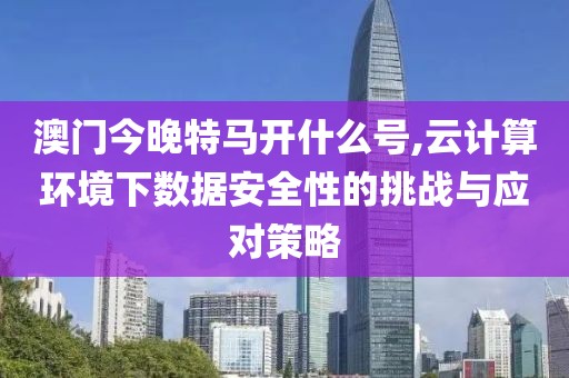 澳门今晚特马开什么号,云计算环境下数据安全性的挑战与应对策略