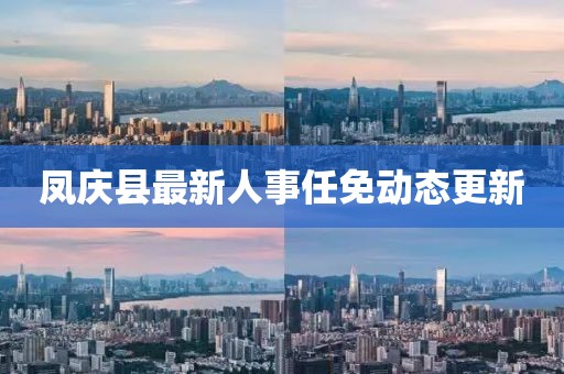 凤庆县最新人事任免动态更新