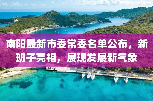 南阳最新市委常委名单公布，新班子亮相，展现发展新气象