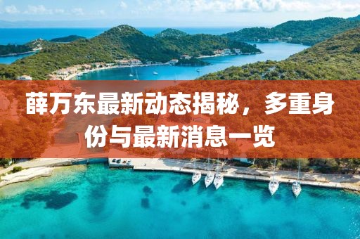 薛万东最新动态揭秘，多重身份与最新消息一览