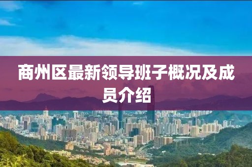 商州区最新领导班子概况及成员介绍